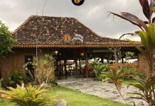 Makan di Sawah, Harga Murah dengan Pemandangan Hijau Menghampar