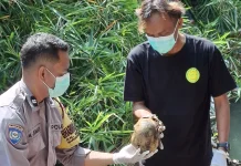 Mayat Misterius dan Tengkorak Berlumut Ditemukan di Sungai Bedog Bantul