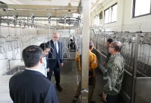 Kembangkan Rumah Potong Ayam, Fapet UGM Gandeng PT Toros