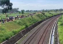 Spot "Nyore" Viral di Moyudan: Menikmati Kereta Api dari Atas Jembatan