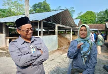 Petani Milenial Mulai Menjamur, Manfaatkan Program Banpres sebagai Branding