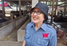 Pengawasan Pasar Tiban Hewan Kurban Diperketat, Dilarang Gunakan Aset Pemerintah