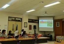 Peternakan Sapi Perah di Belanda Hasilkan Keju Berkualitas