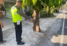 Pemotor Tewas Usai Tabrak Pohon di Sewon Bantul