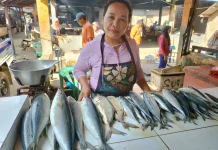 Pantai Ngrenehan Gunungkidul Surga Kuliner Seafood Berharga Terjangkau