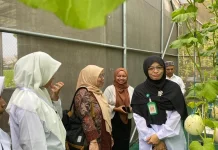 Kolaborasi Bidang Pertanian  Universitas Mercu Buana dengan MA Madania Bantul