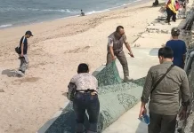 Satpol PP Gunungkidul Tertibkan Pemanfaatan Ruang di Bibir Pantai