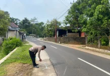Tragis, Seorang Lansia Tewas Usai Tertabrak Pikap di Dlingo Bantul