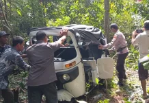 Bajaj Terperosok di Kebun Warga di Pajangan Bantul, Dua Orang Terluka