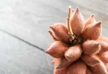 Pasar Salak Pondoh asal Sleman Dikembangkan hingga Vietnam dan China
