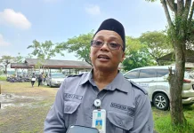 Petani Salak Pondoh Sleman Hadapi Tantangan Harga Anjlok dan Regenerasi Petani