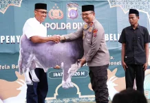 Menebar Kebaikan, Polda DIY Salurkan 17 Hewan Kurban