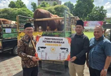 Sapi Bantuan Presiden Dibagikan ke 1.000 Warga Bantaran Sungai Code Yogyakarta