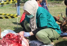 FKH UGM Terjunkan Relawan ke Pelosok DIY, Pastikan Daging Kurban Aman Dikonsumsi
