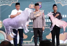 Iduladha 1447 H, Polda DIY Salurkan 11 Sapi dan 6 Kambing ke Masyarakat