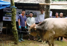 Bank Syariah BDS Tebar Qurban hingga Pelosok Yogyakarta