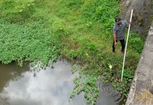 Gas Metana dari Rawa Diduga Jadi Penyebab Munculnya Api Misterius di Seyegan
