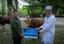 UGM Salurkan Hewan Kurban, Perkuat Kepedulian dan Kebersamaan