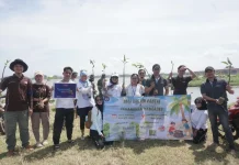 Mahasiswa UNY Gelar Aksi Bersih Pantai & Tanam Mangrove di Pantai Baru Pandansimo