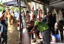 Bambang Purwanto Pimpin Jajaran Polresta Sleman Bagikan Daging Kurban
