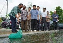 Mengintip Potensi Sendangtirto Sleman, dari Sentra Nila hingga Rencana Wisata