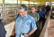 Pengutan Ekosistem Protein Nasional melalui Industri Ruminansia Potong