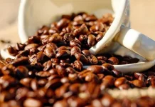 Cara Budidaya Keliru, Kopi Rentan Cacat