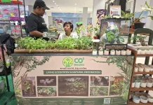 CO2 Realm Hadirkan Ekosistem Mini untuk Pecinta Satwa