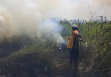 Kurangi Kebakaran Lahan Gambut, Dosen UMY Sebut Cara ini