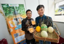 Penggunaan Produk Impor Bisa Dikurangi, ini Syaratnya