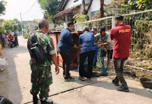 Kasuari Gelambir Ganda Dilindungi Berhasil Diselamatkan BKSDA