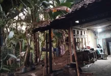 Ditinggal Ambil Kayu Bakar Tambahan, Dapur Rumah Warga Kokap Terbakar