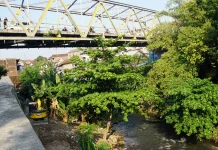 Turunkan Alat Berat di Jembatan Sarjito, Pemkot Awali Normalisasi Sungai Code