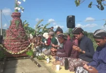 Wujud Rasa Syukur, Petani Bawang Merah Nawungan Gelar Tradisi Wiwitan Panen