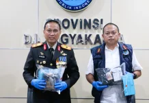 BNNP DIY Gagalkan Peredaran Ganja dan Tembakau Sintetis, Dua Tersangka Diamankan