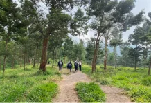 Tracking Kali Talang Favorit Wisatawan Nikmati Pesona Merapi
