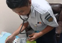 Petugas KAI Evakuasi Bayi di Toilet KA Sancaka Yogyakarta-Surabaya