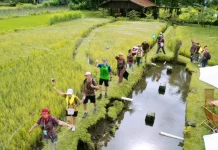 Jalan Kaki Sambil Rekreasi di Ecolife Walk Trimulyo Sleman