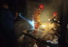Kebakaran di Gunungkidul, Kerugian Capai Rp100 Juta