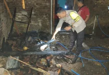 Lupa Matikan Tungku, Dapur Warga di Pandak Bantul Ludes Dilahap Si Jago Merah
