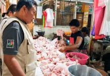 Harga Daging Ayam di Pasar Beringharjo Anjlok, Terendah Sepanjang 2026