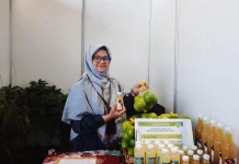 Antusiasme Tinggi, Semester I Kemenkum DIY Fasilitasi 890 Perseroan Perorangan