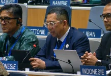 Indonesia Berikan Usulan Penting Tata Kelola Royalti Digital di WIPO