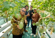 Ekosistem Wirausaha Berbasis Inovasi Diperkuat