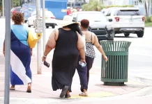 Diet yang Benar dan Sehat untuk Menurunkan Berat Badan
