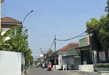 Waspadai Kemarau Panjang, Ingatkan Jangan Buang Puntung Rokok Sembarangan