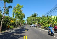 Insiden Kecelakaan Jalan Wates-Purworejo, Pengendara Jupiter Meninggal di TKP
