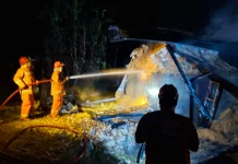 Kandang Ayam di Pengasih Terbakar, Kerugian Ditaksir Capai Rp250 Juta