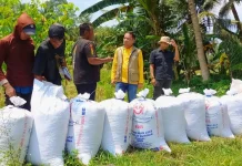 Amankan CBP, Bulog Yogyakarta Sukses 100 Persen Serap Gabah dan Beras Petani