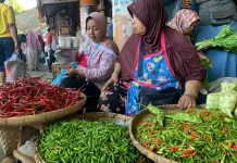 Harga Komoditas Pangan di Gunungkidul Merangkak Naik